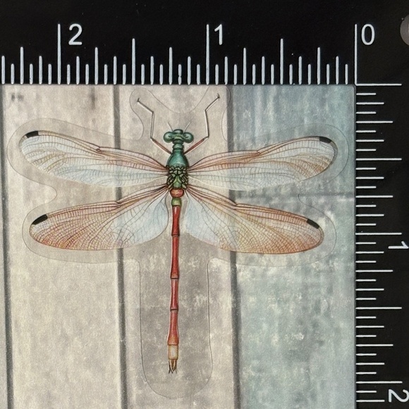 🌀10/$10🌀 Translucent Moth Dragonfly Beetle Reusable Waterproof Sticker Decal - Picture 1 of 1